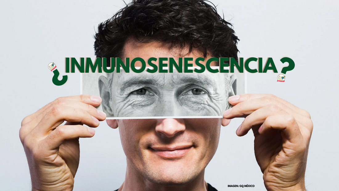 El Envejecimiento y el Sistema Imune: ¿Cómo Puedes Apoyar tu Salud?