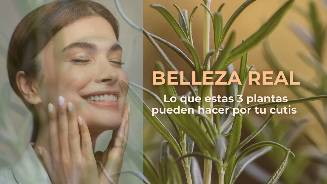 Belleza Celular: El poder de la sinergia botánica para tu piel 🌿